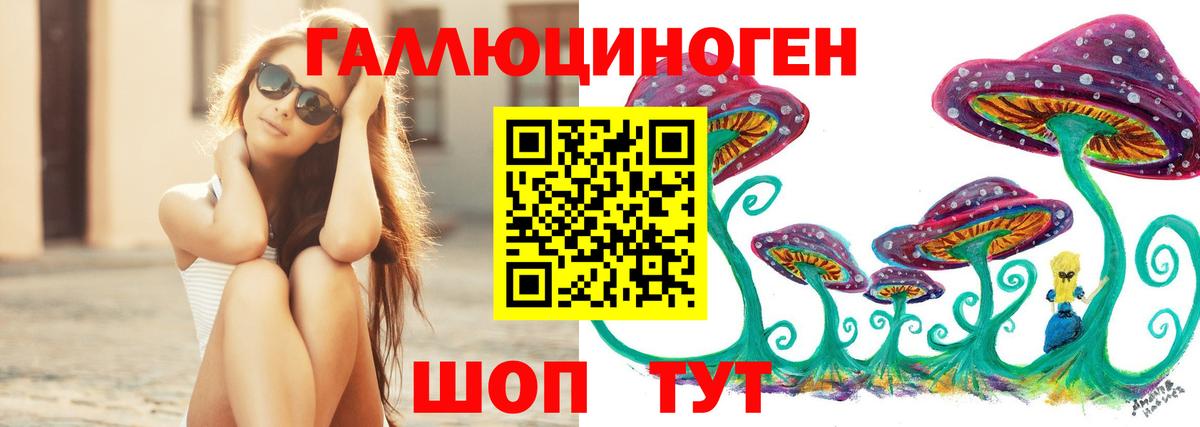 Галлюциногенные грибы Psilocybe Донской
